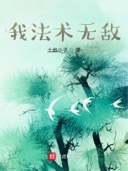我法术无敌