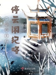 一代贤王之停云阁纪略