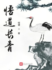 悟道长青