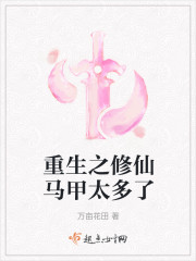 重生之修仙马甲太多了