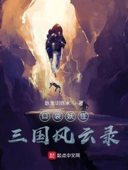 口袋妖怪之三国