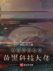 从监狱走出来的黑科技大佬