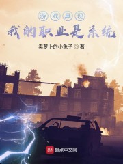 游戏具现，我的职业是系统？