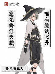 毫无修仙天赋：唯有魔法飞升