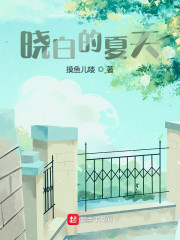晓白的夏天