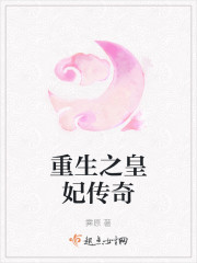 重生之皇妃传奇