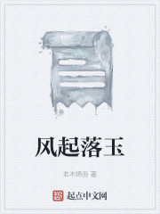 风起落玉