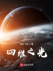 四维之光