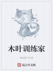 木叶训练家