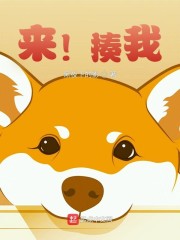 来！揍我！