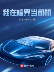 我在暗界当司机