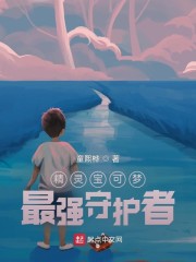 精灵宝可梦：最强守护者