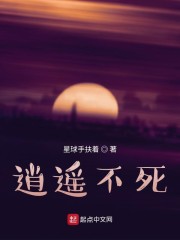 超级加倍996系统