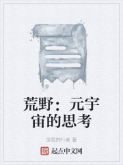 荒野：元宇宙的思考