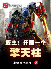 废土：开局一个擎天柱