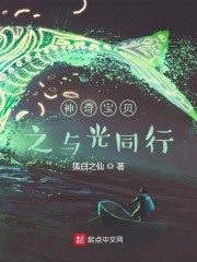 神奇宝贝之与光同行