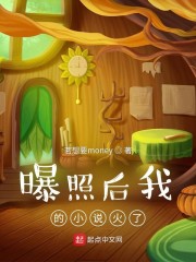 曝照后我的小说火了