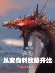 精灵：从变身利欧路开始