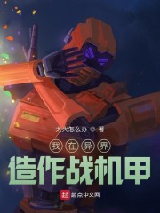 我在下界造作战机甲