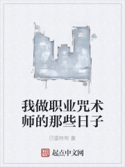 我做职业咒术师的那些日子