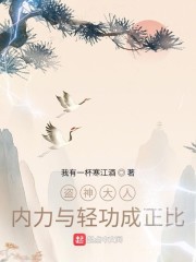 盗神大人内力与轻功成正比