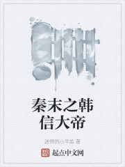 秦末之韩信大帝