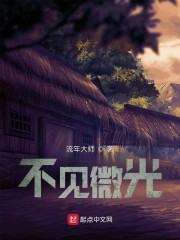 不见微光