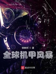 全球机甲风暴