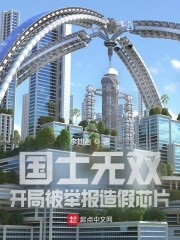 国士无双：开局被举报造假芯片