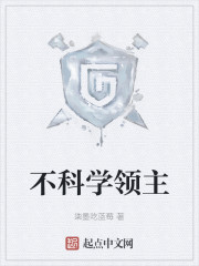 不科学领主
