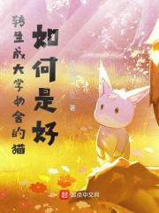 转生成猫如何是好