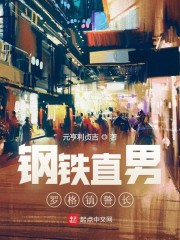 钢铁直男罗格镇警长