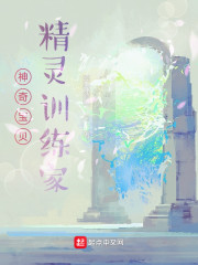 精灵：冠军训练家