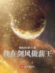 我在剑风做薪王