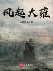 风起大雍