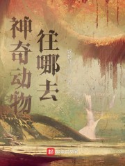 神奇动物往哪去