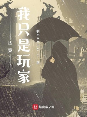 毕竟我只是玩家