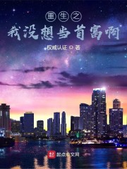 重生之我没想当首富啊