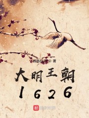 大明王朝1626