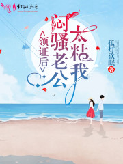 领证后，闷骚老公太粘我