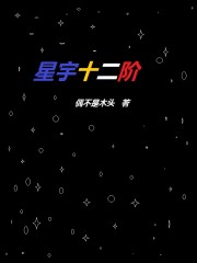 星宇十二阶