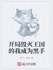 开局毁灭王国的我成为黑手