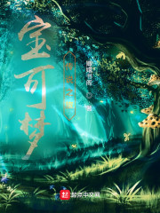 宝可梦，我只是一个路过的训练家