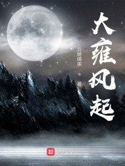 大雍风起