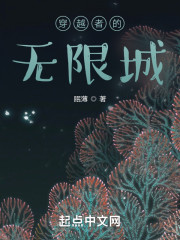 穿越者的无限城