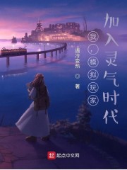 我，模拟玩家，加入灵气时代