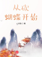 从砍蝴蝶开始