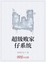 超级败家仔系统