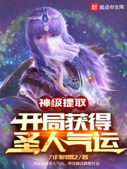 神级提取，开局获得圣人气运