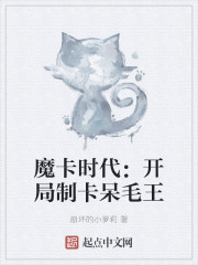 魔卡时代：开局制卡呆毛王